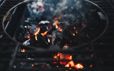 El Carbón Perfecto: Cómo Elegir el Mejor Combustible para tu Parrilla o Kamado