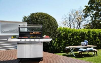 Barbacoa de Gas o Carbón: ¿Cuál es la Mejor Opción para Ti?