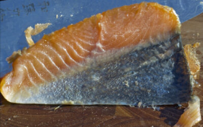 Salmón Ahumado